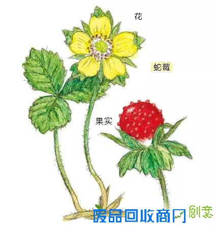 悦读起跑线?|?科普+手工!和孩子一起让生活废品变成创意小玩物