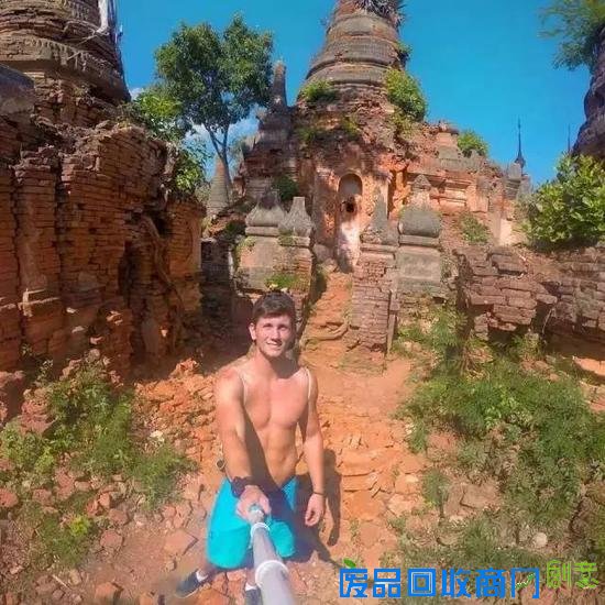 伐木场大象的一生:生而为奴直到死亡(图)