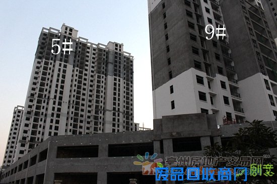 1474617552912697.jpg IMG_7667.JPG