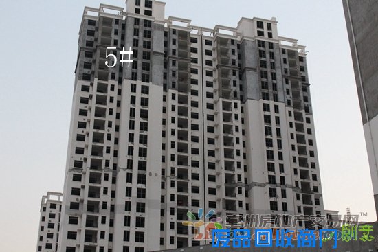 1474617813877595.jpg IMG_7669.JPG