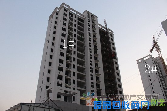 1474617589238594.jpg IMG_7672.JPG