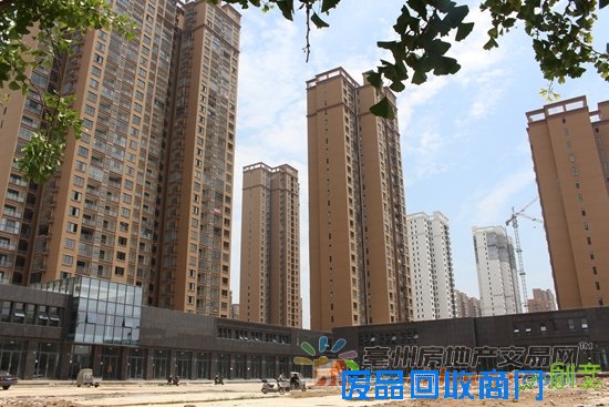 1466824444824563.jpg IMG_5590.JPG