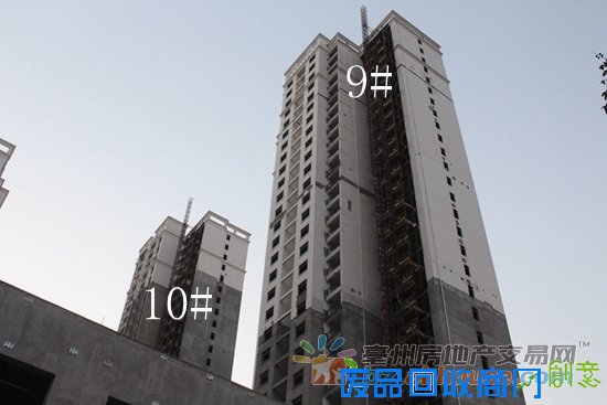 1474617455969663.jpg IMG_7670.JPG