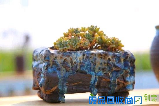 3位女大学生乐当种花匠 坎墩后花园打造“花样年华”