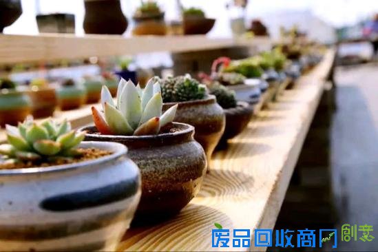 3位女大学生乐当种花匠 坎墩后花园打造“花样年华”