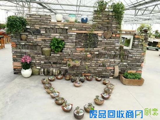 3位女大学生乐当种花匠 坎墩后花园打造“花样年华”