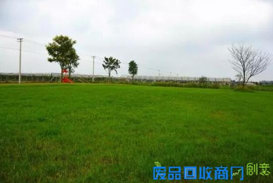 3位女大学生乐当种花匠 坎墩后花园打造“花样年华”