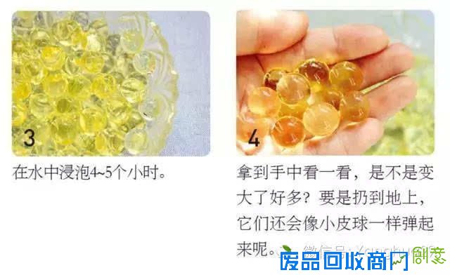 教你在家diy各种水培植物 动起来!