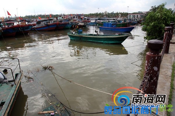 网媒记者走进琼海潭门镇 精巧工艺品吸引眼球