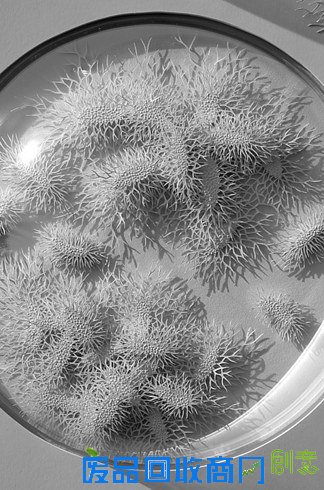 艺术家用折纸表现复杂而抽象的微观世界 艺术家用折纸表现复杂而抽象的微观世界