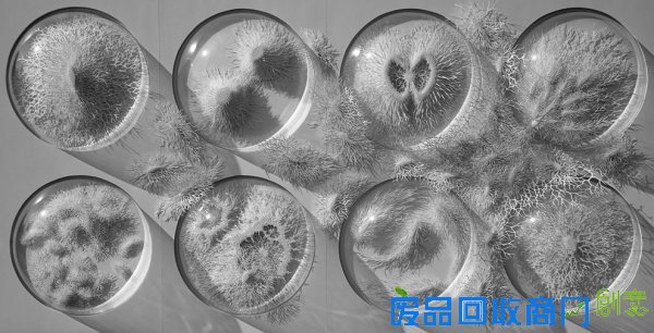 艺术家用折纸表现复杂而抽象的微观世界 艺术家用折纸表现复杂而抽象的微观世界