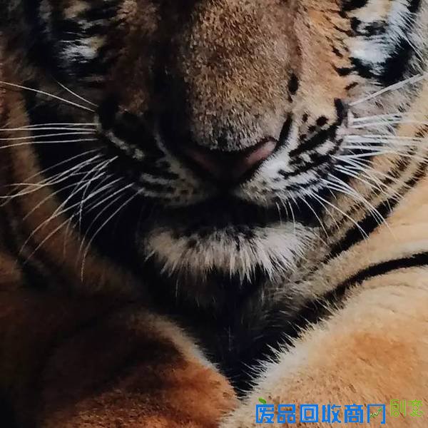 中国的绝美刺绣，错过太可惜了！