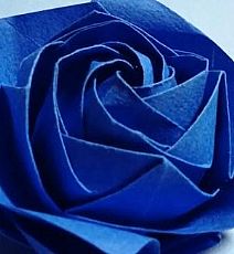 纸玫瑰—50 种折 纸 玫瑰 花 折法 图解帮助您掌握纸 玫瑰 的