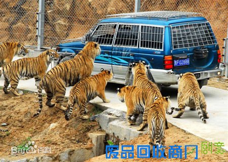 周末自驾游去哪里玩 自驾游线路推荐 黄山景区门票半价 黄山自驾游攻略