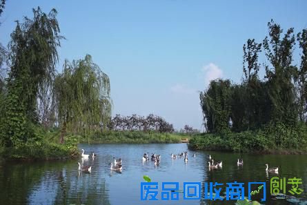 浐灞绿色发展无止境 大美图景仍在展开