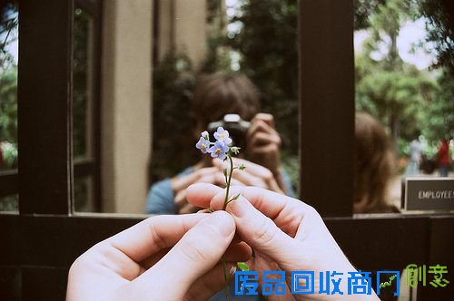 那些花儿 清新唯美图片