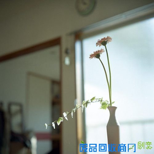 那些花儿 清新唯美图片