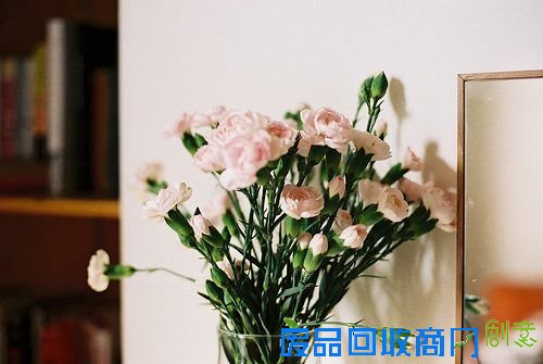 那些花儿 清新唯美图片