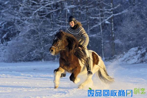 运河冰雪季 踏雪赏冰醉通州