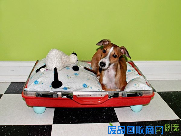 用旅行箱为爱犬制作做一个文艺狗窝 第6张图片