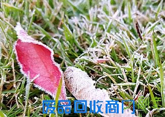 小鱼儿吃枣被酸到眯起眼睛 沙溢小儿子实在太可爱啦