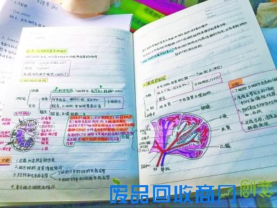 高校美女学霸“逆天”笔记走红