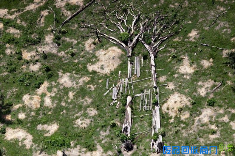 路透年度环境照片 大自然的狂暴和神奇 路透年度环境照片 大自然的狂暴和神奇