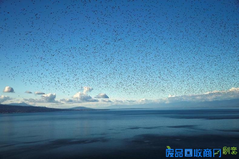 路透年度环境照片 大自然的狂暴和神奇 路透年度环境照片 大自然的狂暴和神奇