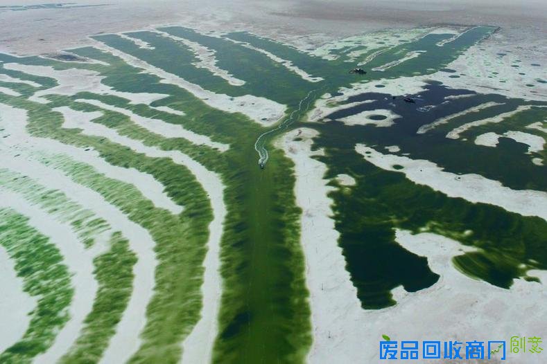 路透年度环境照片 大自然的狂暴和神奇 路透年度环境照片 大自然的狂暴和神奇