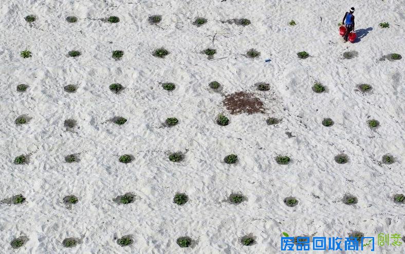 路透年度环境照片 大自然的狂暴和神奇 路透年度环境照片 大自然的狂暴和神奇