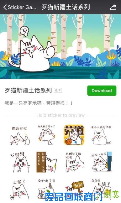 访插画设计师、“歹猫”新疆系列表情专辑作者王琳