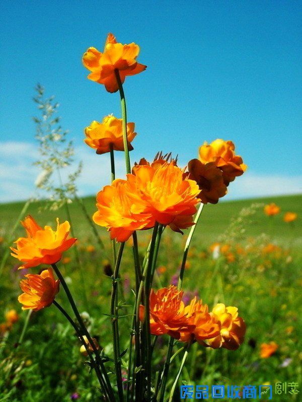 阳光下的美好 唯美旅行摄影风景美图