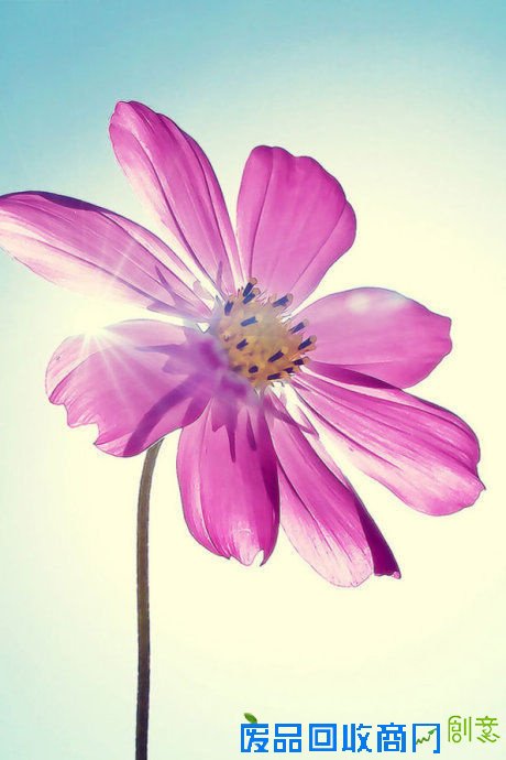 阳光下的美好 唯美旅行摄影风景美图