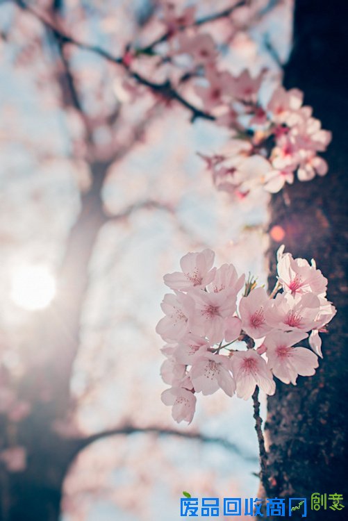 阳光下的美好 唯美旅行摄影风景美图