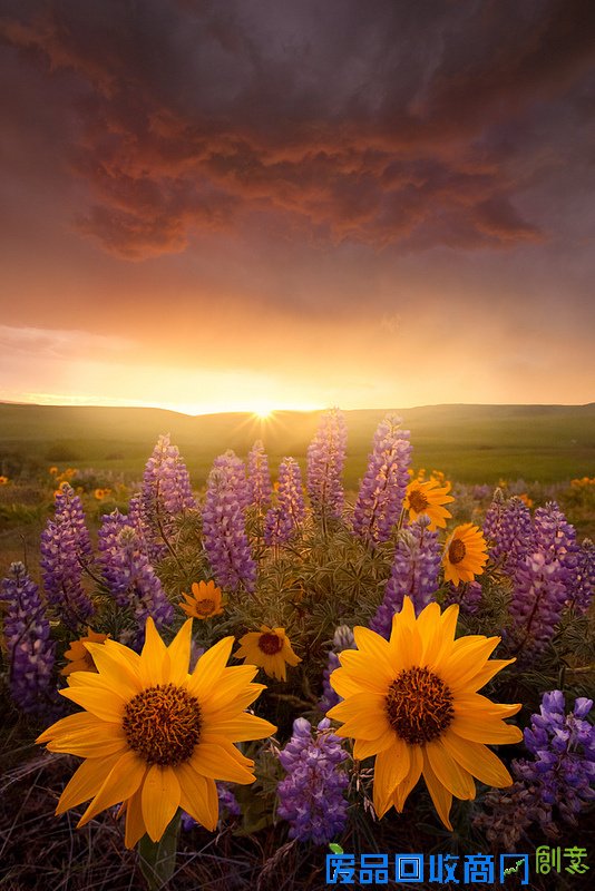 阳光下的美好 唯美旅行摄影风景美图