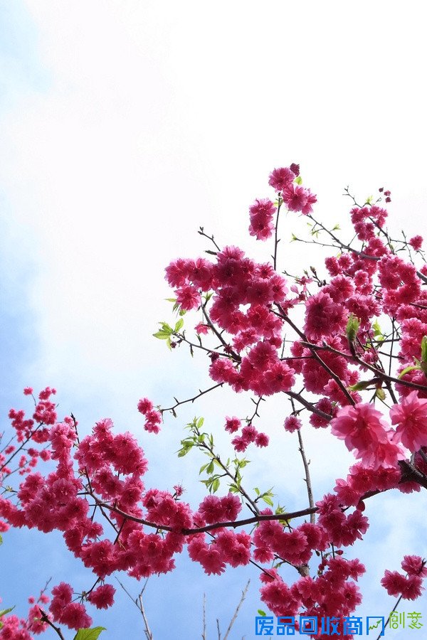 阳光下的美好 唯美旅行摄影风景美图