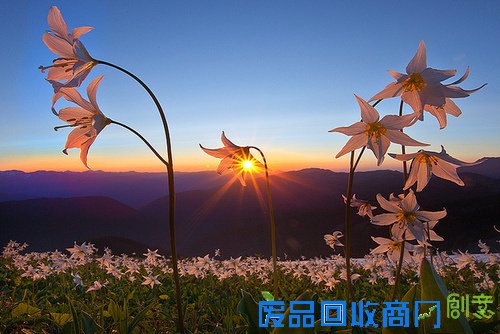 阳光下的美好 唯美旅行摄影风景美图