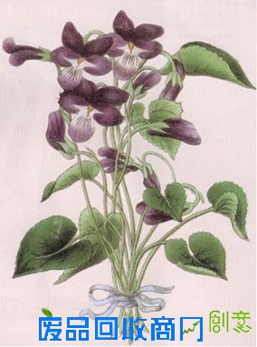 ◀经典▶视觉错觉经典图片 – 【人人分享