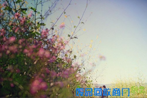 如何拍摄情侣照片之选景篇
