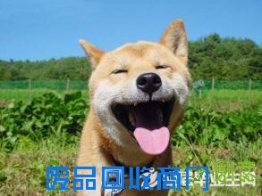 生活中狠经典的笑话语录