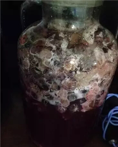 别再自酿葡萄酒了! 别再自酿葡萄酒了!