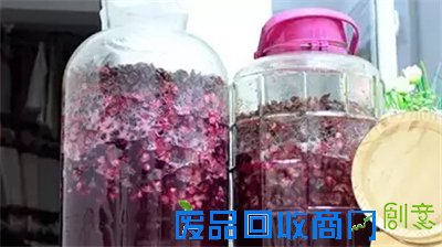 别再自酿葡萄酒了! 别再自酿葡萄酒了!