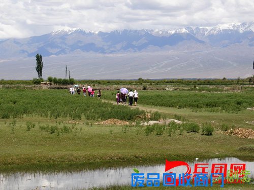 农一师四团7万亩河滩生态林效益凸显,风景优美,成为野生动物的栖息地