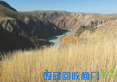 旅游援疆 济南报业替您提前踩线喀拉峻景区