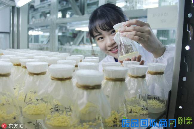 美女学霸“绘本笔记”走红 网友：堪称艺术品(图)