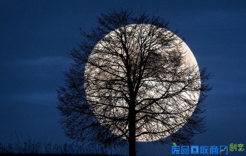 外媒眼中的2016年最佳图片 是图还是画傻傻分不清楚