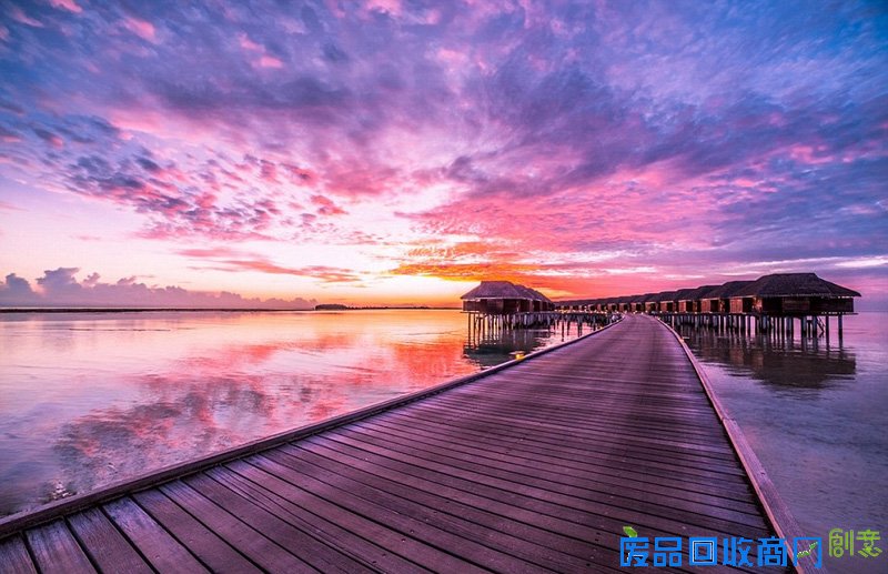 外媒眼中的2016年最佳图片 是图还是画傻傻分不清楚