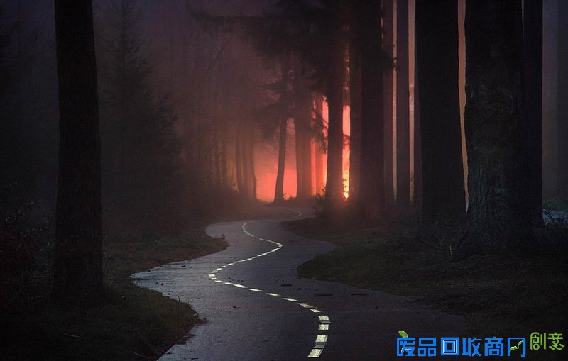 外媒眼中的2016年最佳图片 是图还是画傻傻分不清楚