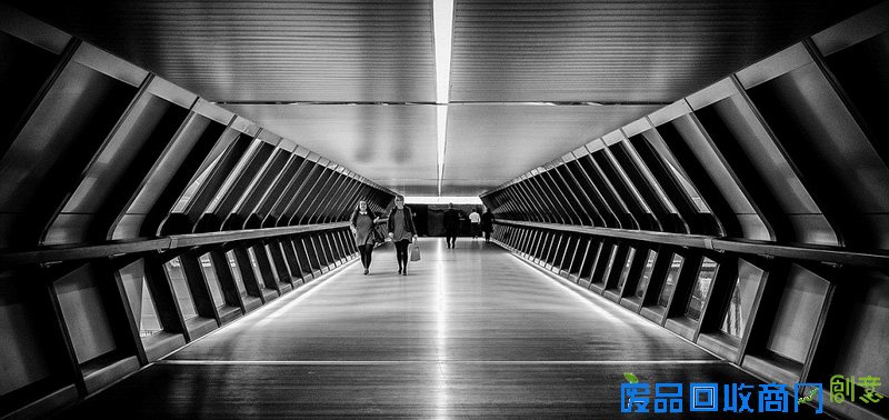 外媒眼中的2016年最佳图片 是图还是画傻傻分不清楚