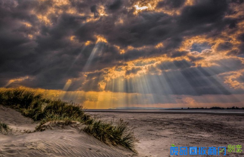 外媒眼中的2016年最佳图片 是图还是画傻傻分不清楚